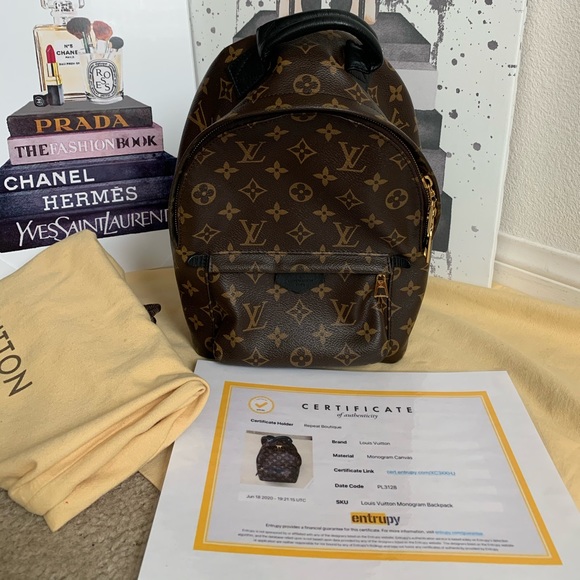 ❤️SOLD❤️Preowned Louis Vuitton Palm Springs Pm - Picture 1 of 16
